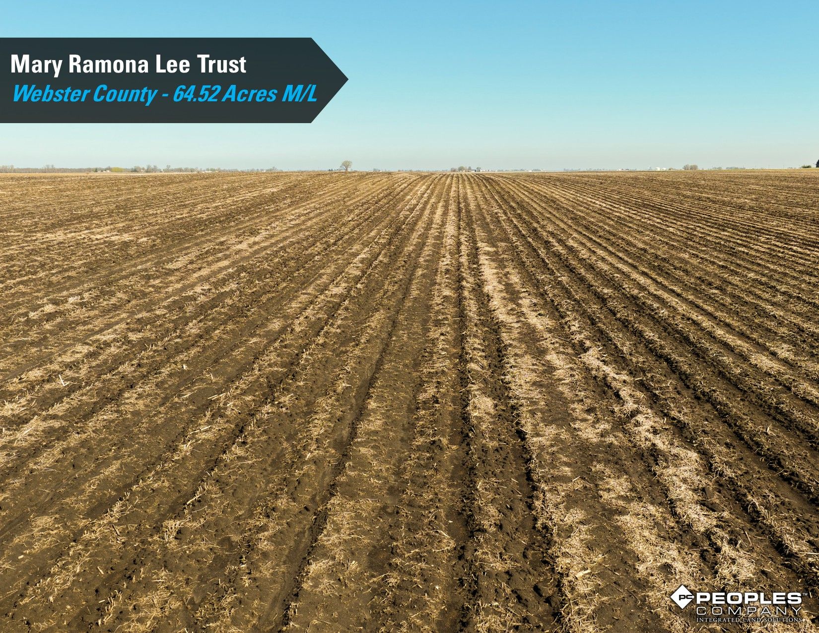 Listing Photo: Webster-County-Iowa-Online-Only-Land-Auction-Lee-Trust-64.52-Acres-Duncombe- (4)
